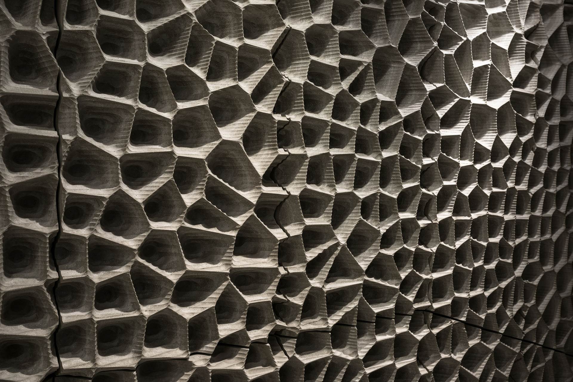 weisse_haut_foto_johannes_arlt