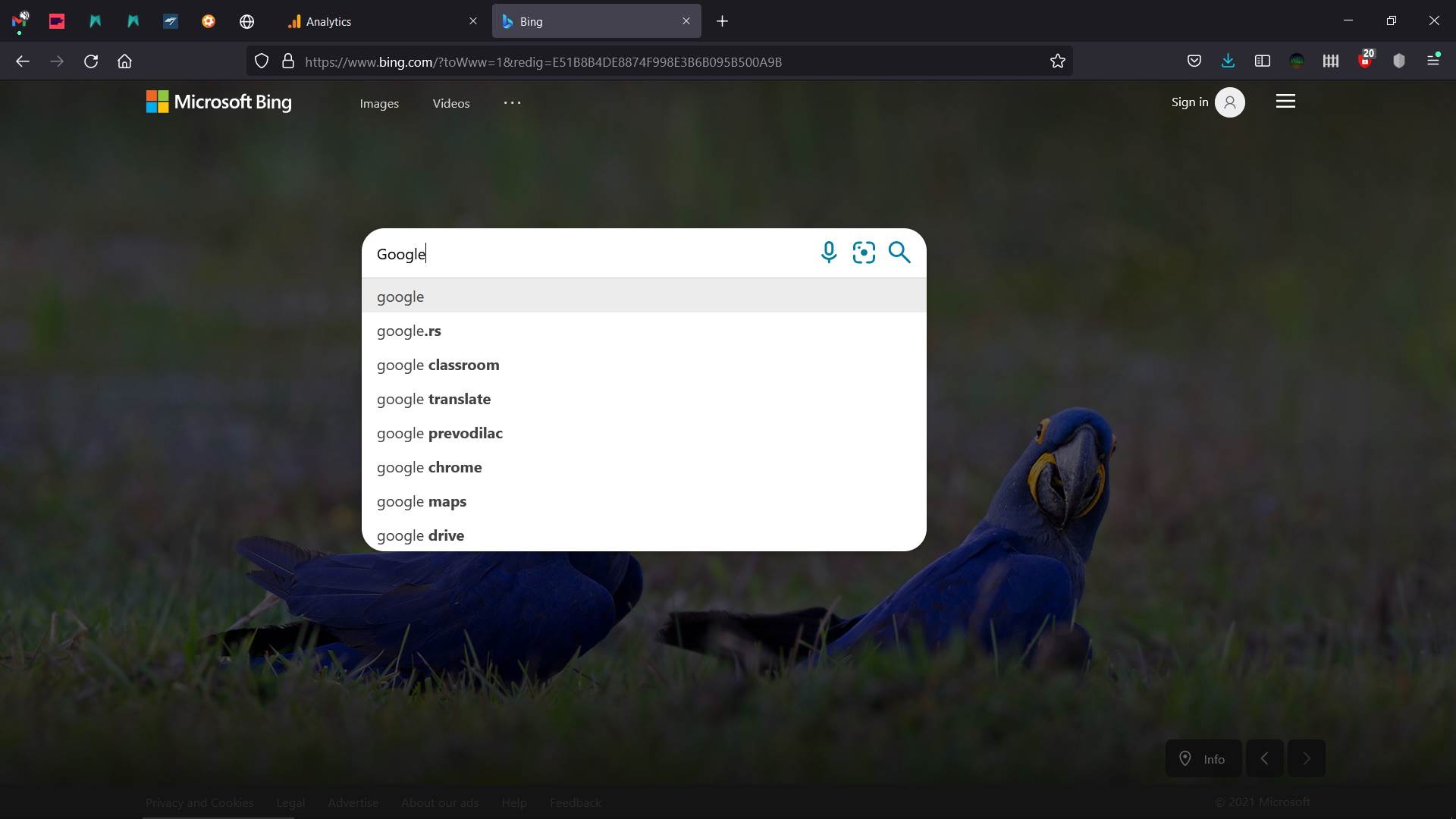 Bing Search Google najtraženiji