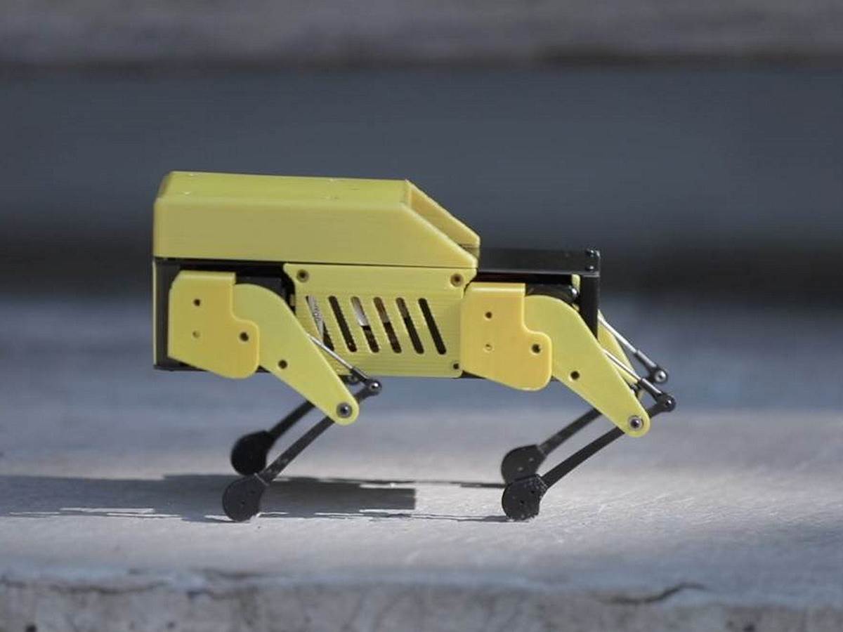 Mini Pupper robot pas 5