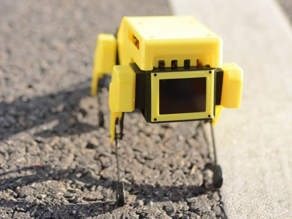 Mini Pupper robot pas 6