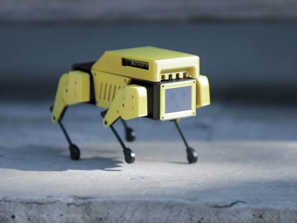 Mini Pupper robot pas 7