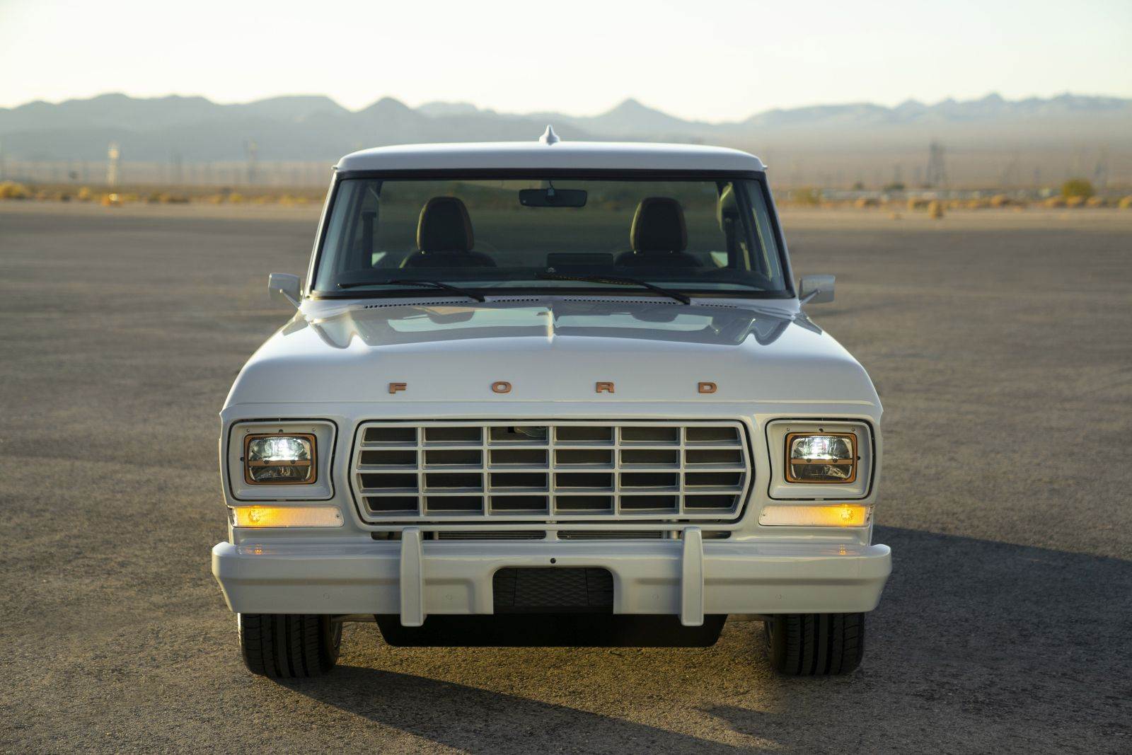 Ford F-100 Eluminator 01
