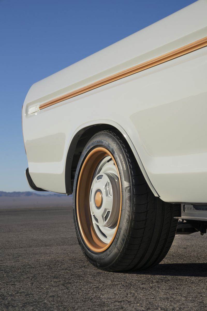 Ford F-100 Eluminator detalji spolja