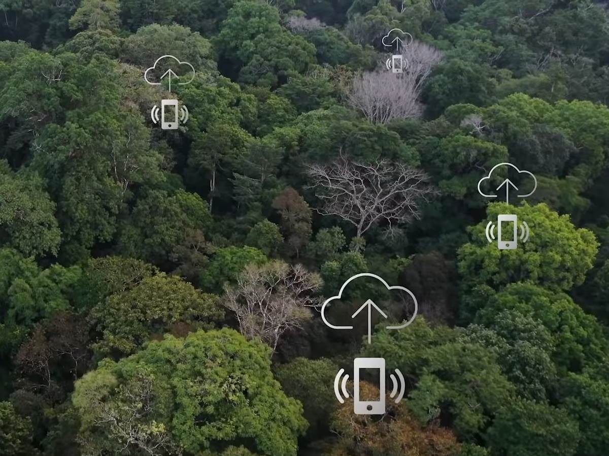 Huawei telefoni kišne šume zaštita od seče šuma 2