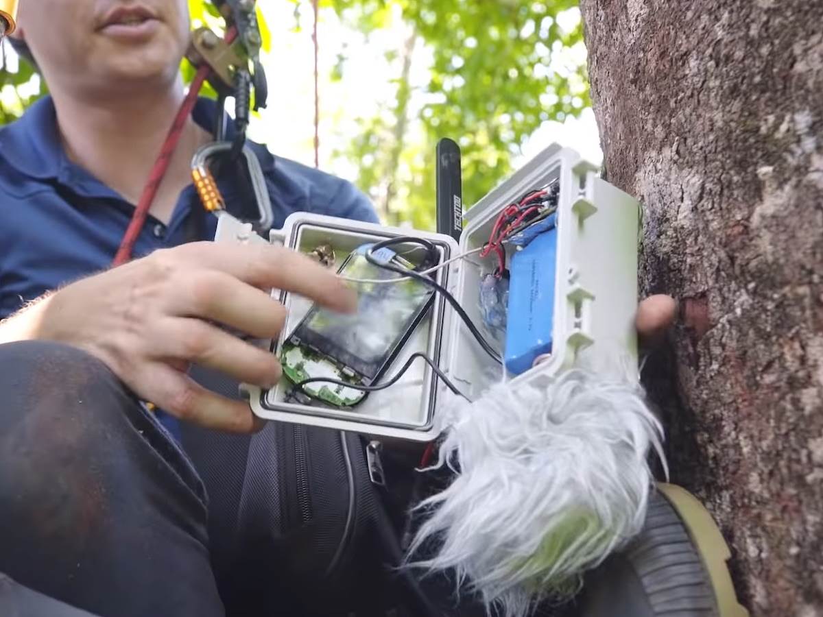 Huawei telefoni kišne šume zaštita od seče šuma 7.jpg