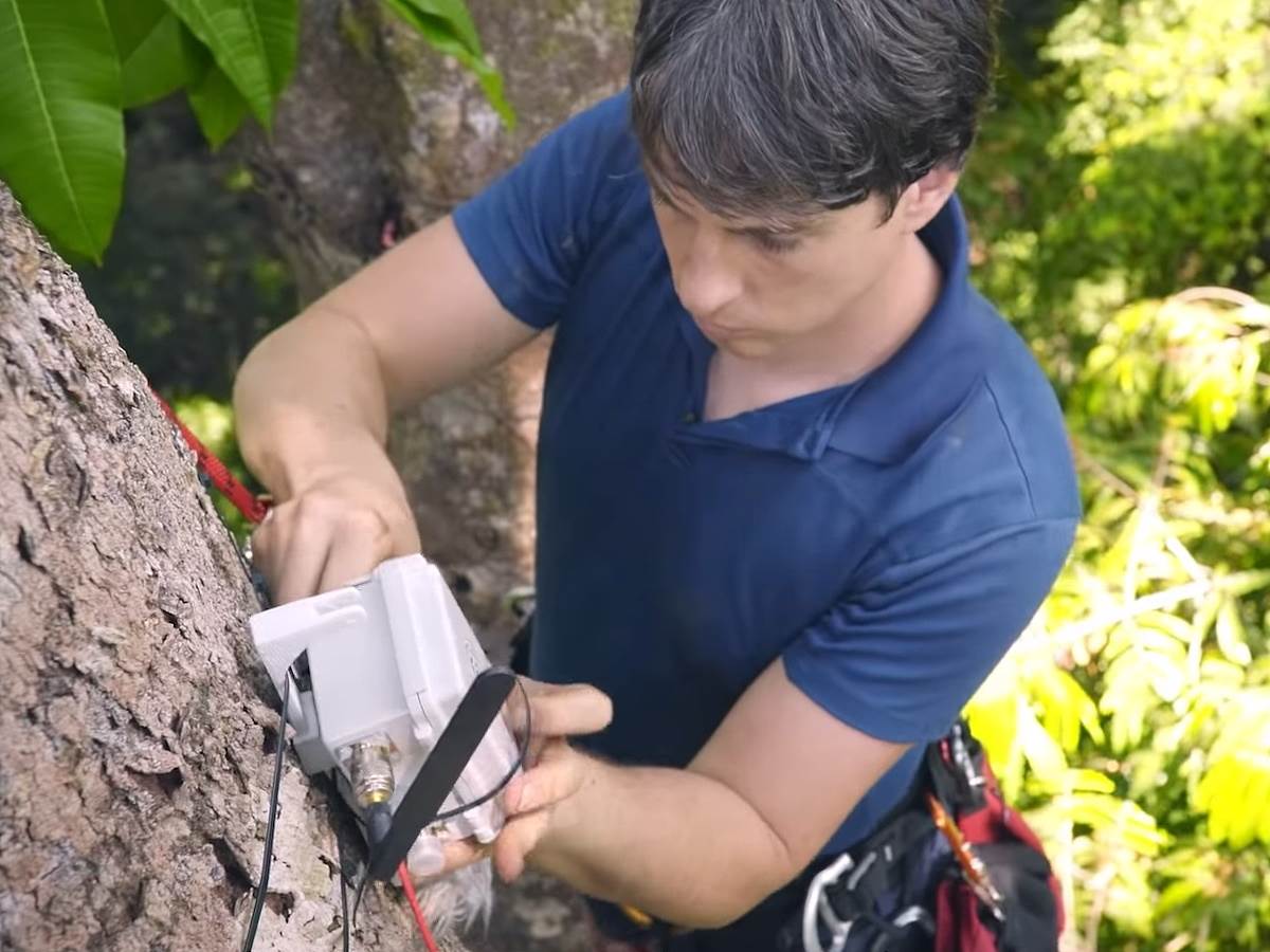 Huawei telefoni kišne šume zaštita od seče šuma 8.jpg