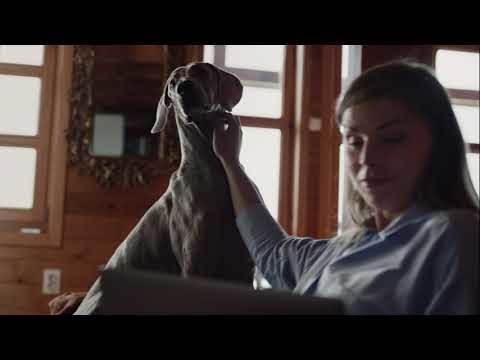 Kako se koristi Net Protect i koliko košta