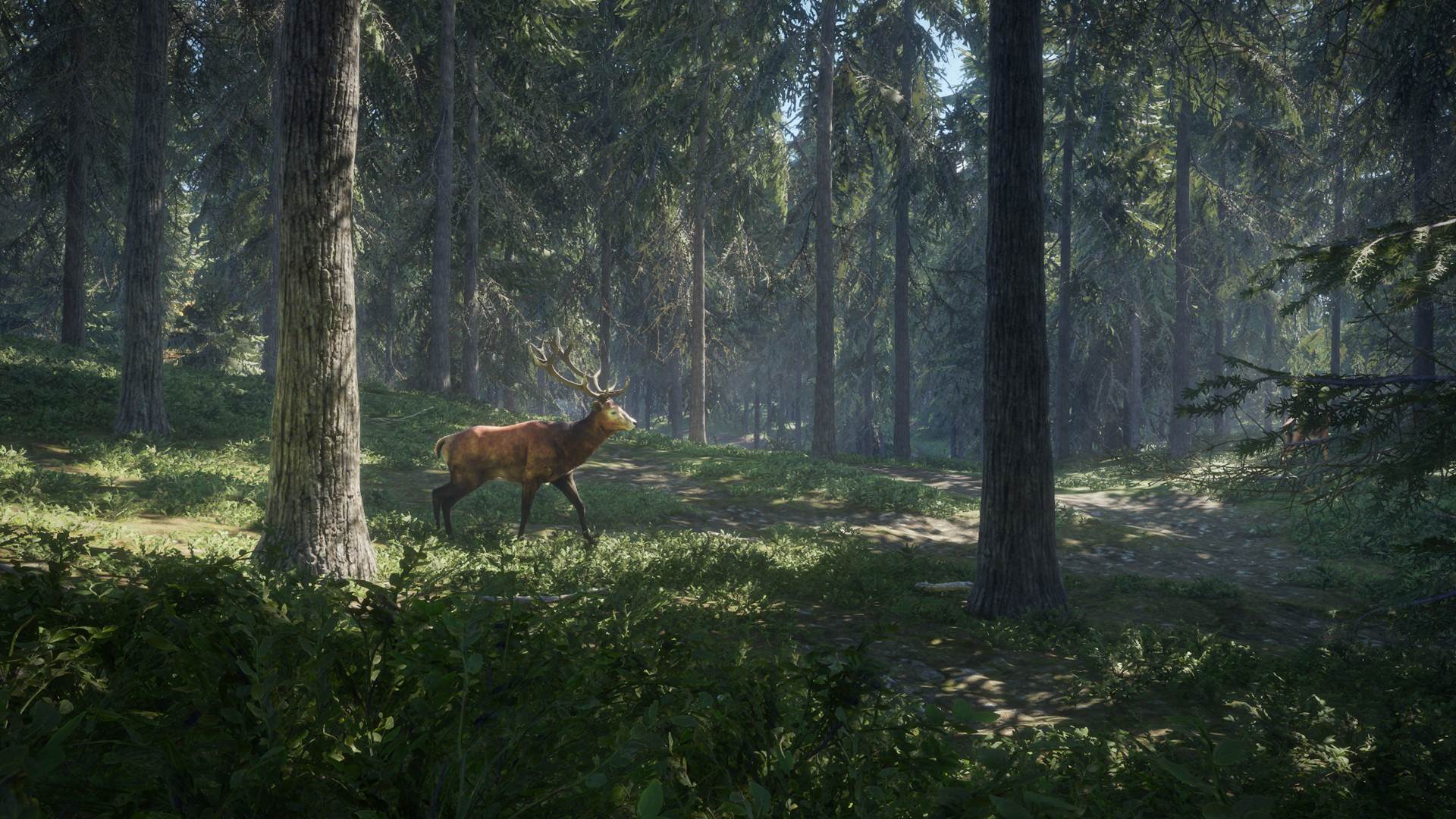 TheHunter (12).jpg