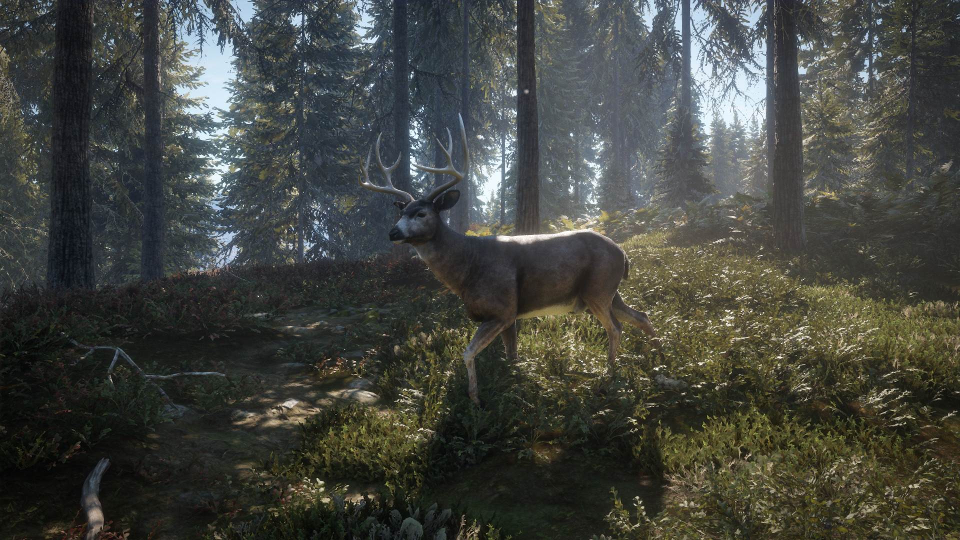 TheHunter (19).jpg