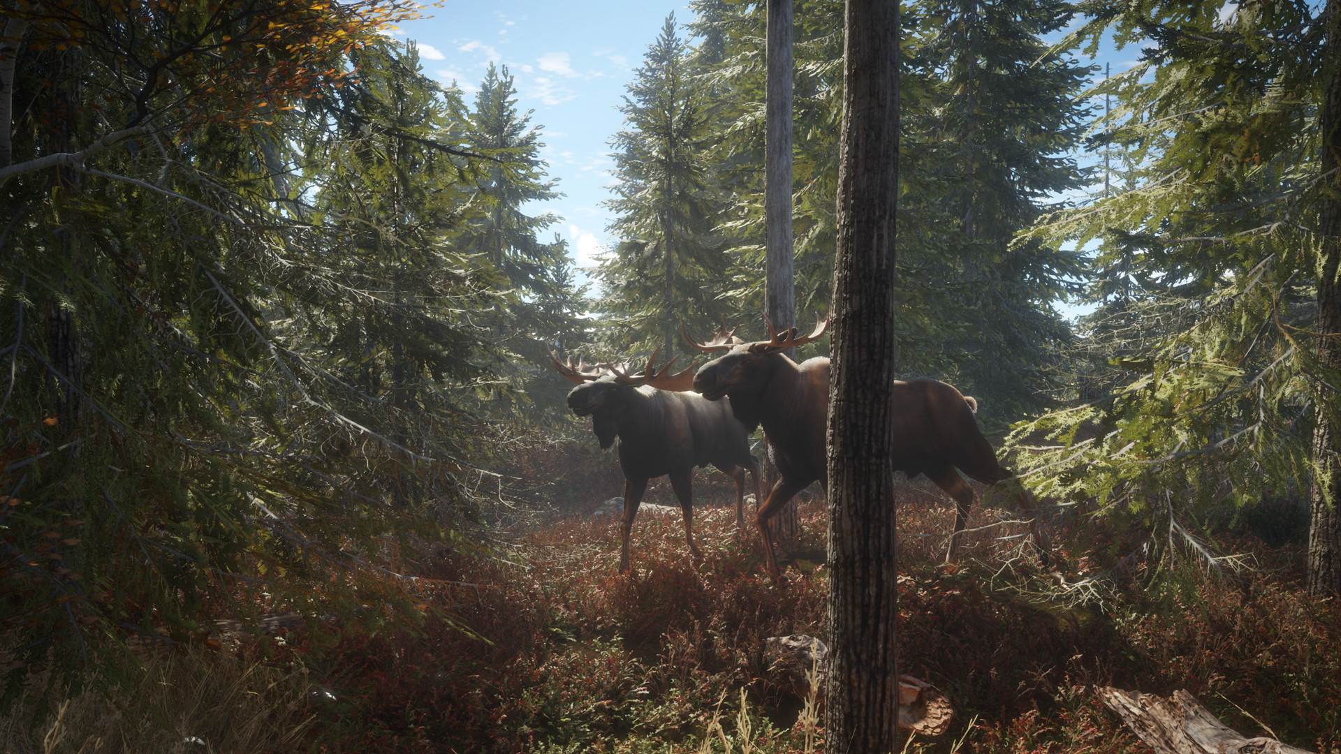 TheHunter (20).jpg
