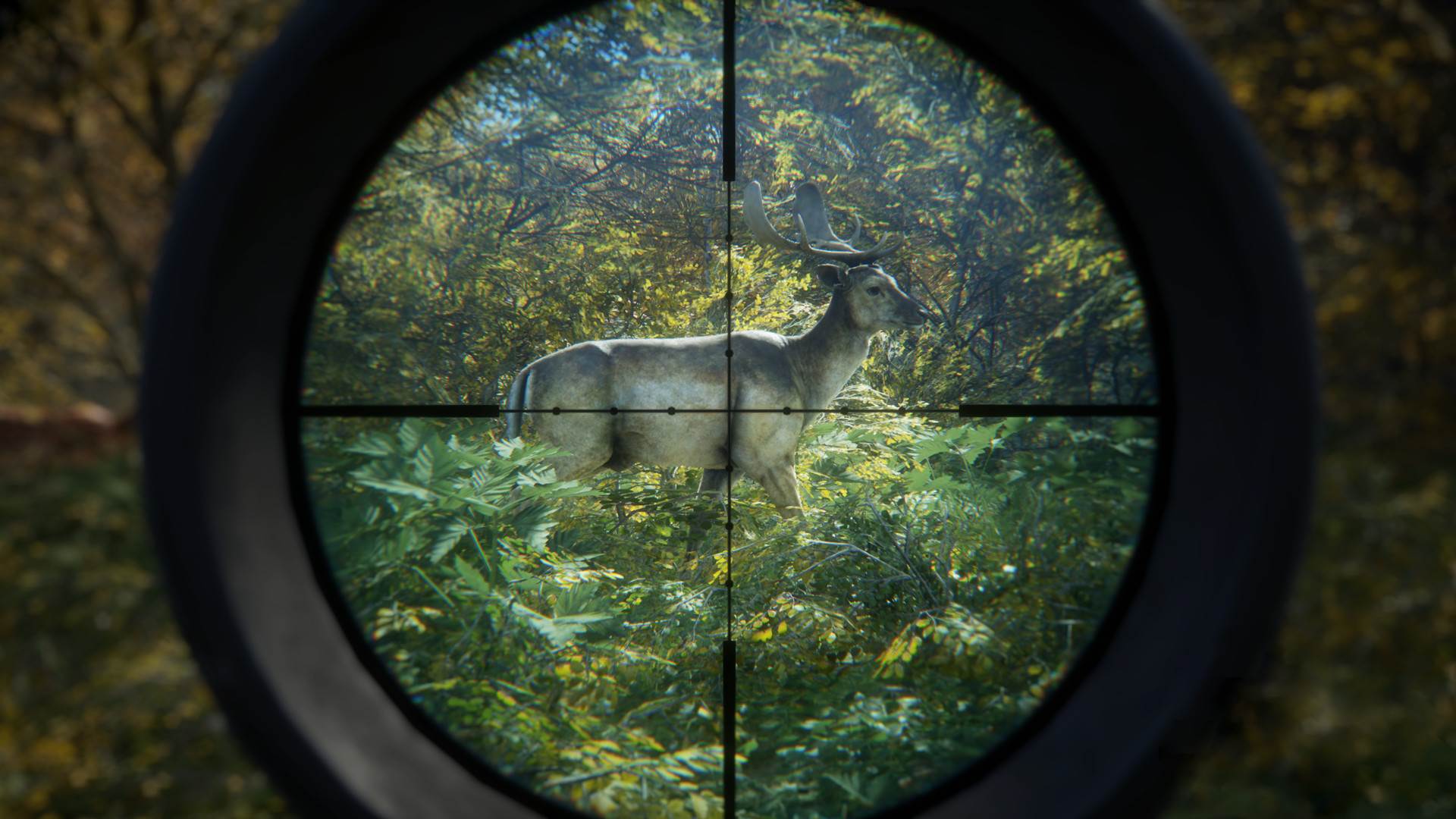 TheHunter (21).jpg