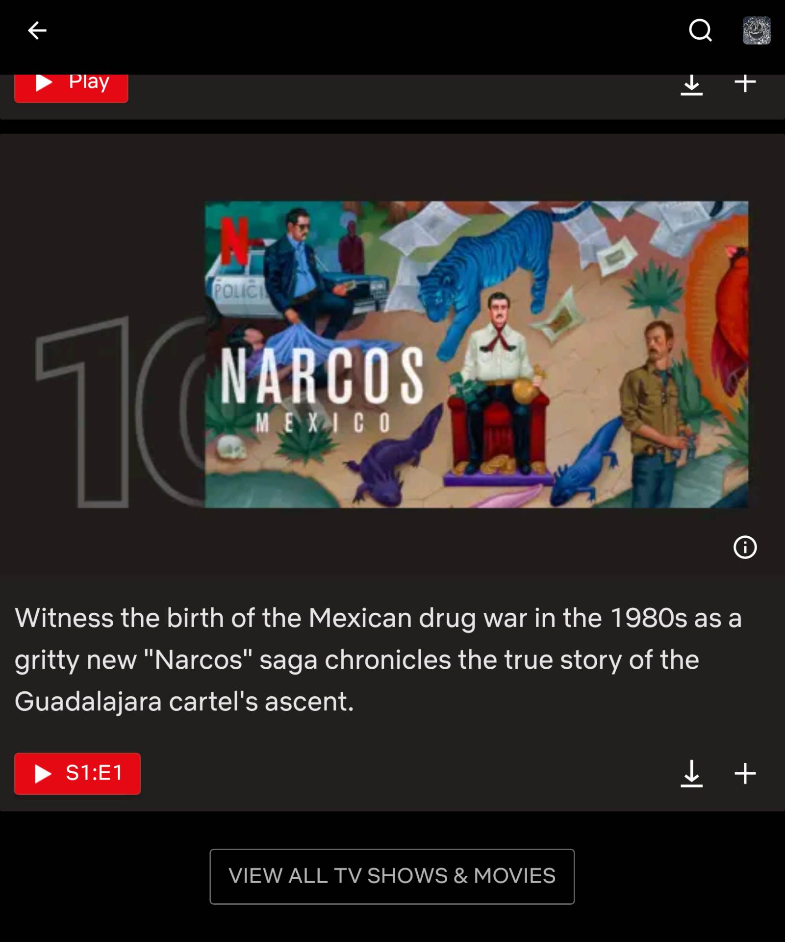 Screenshot_20211128-140103_Netflix.png