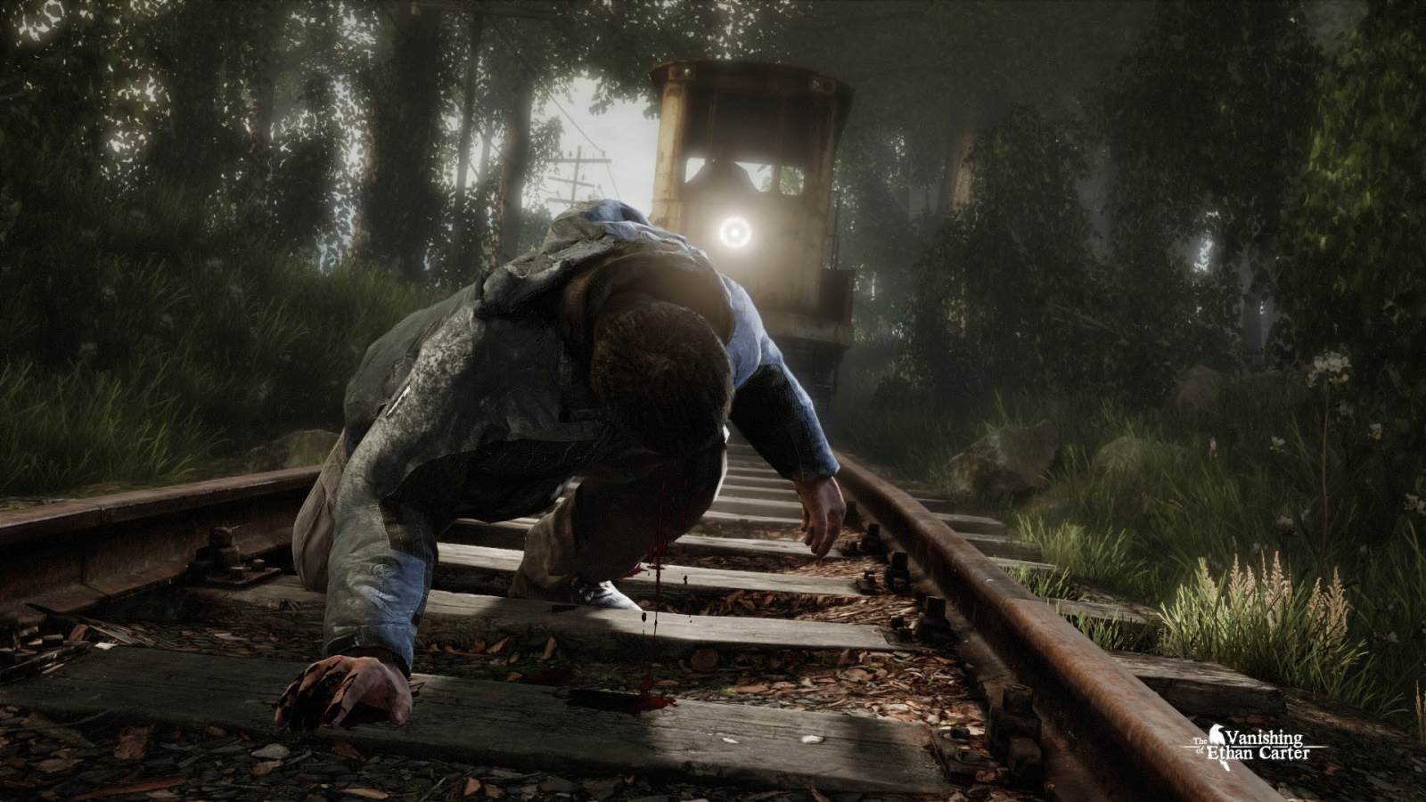 The Vanishing of Ethan Carter  (1).jpg