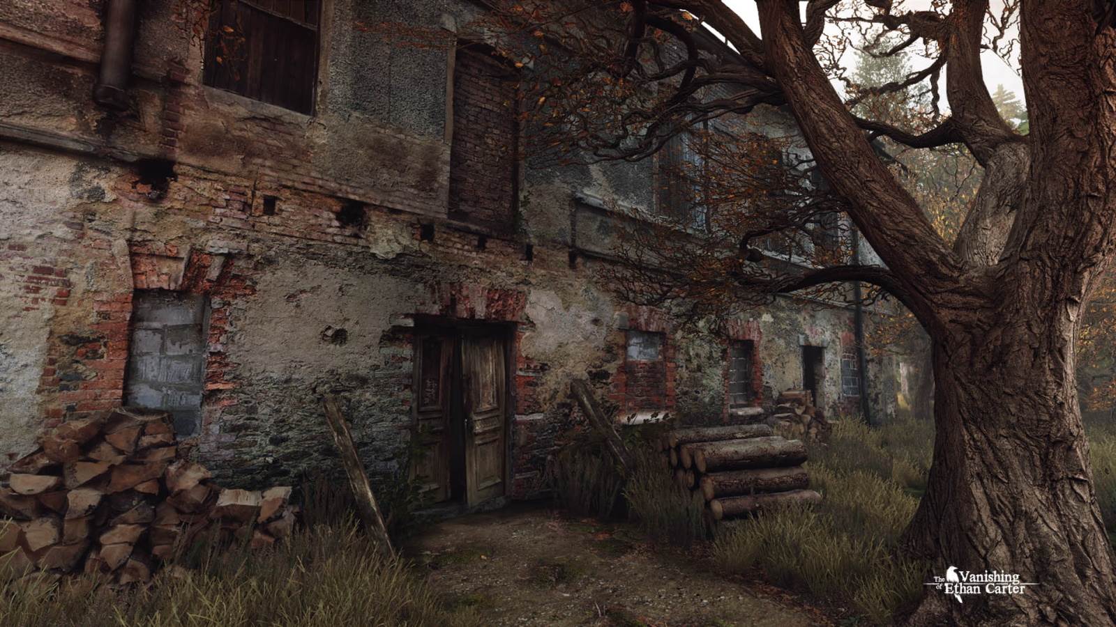 The Vanishing of Ethan Carter  (2).jpg
