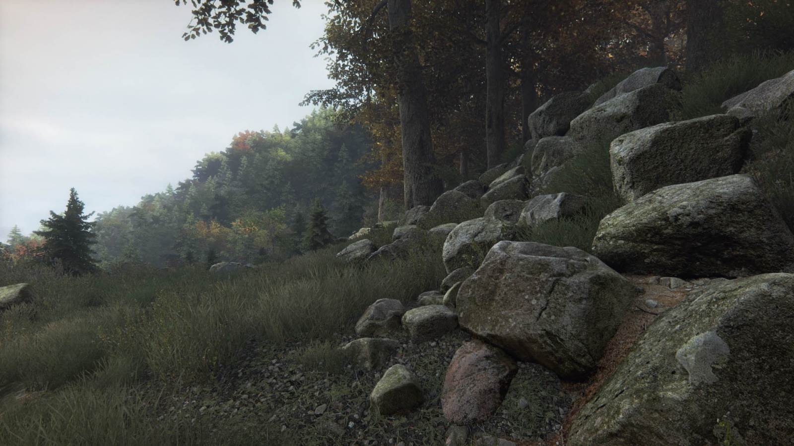 The Vanishing of Ethan Carter  (9).jpg