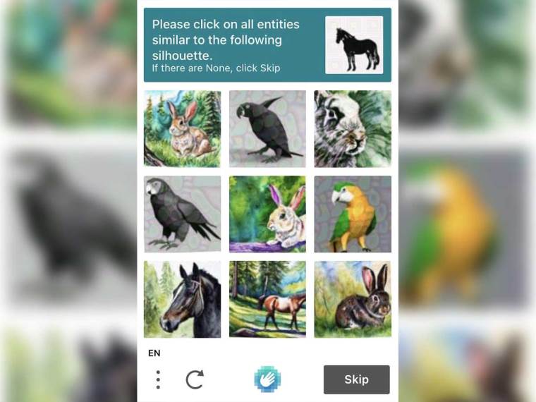 Nova CAPTCHA