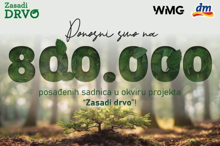 zasadi drvo 1.jpg