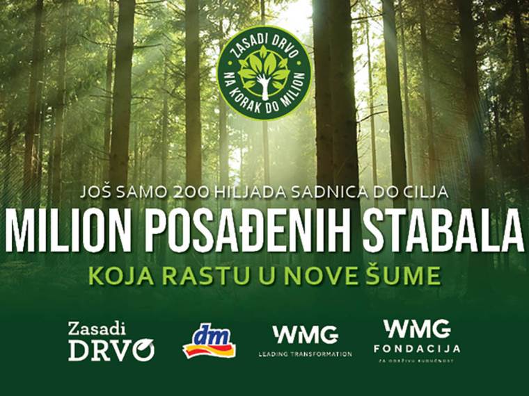Zasadi drvo
