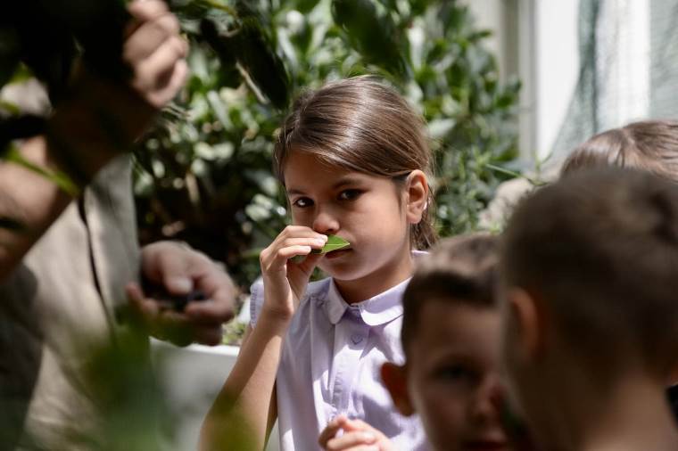 Dečija radionica Zasadi drvo 2.jpg