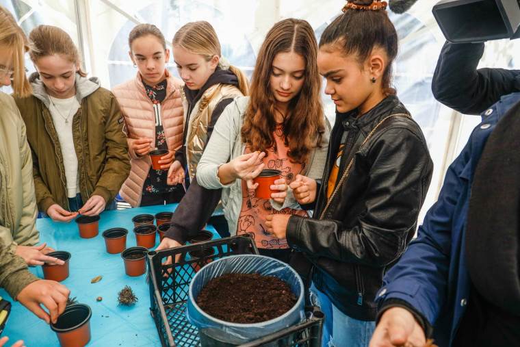 Zasadi drvo slika 1.jpg