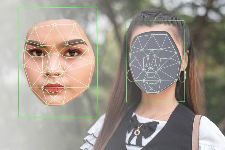 Deepfake lice