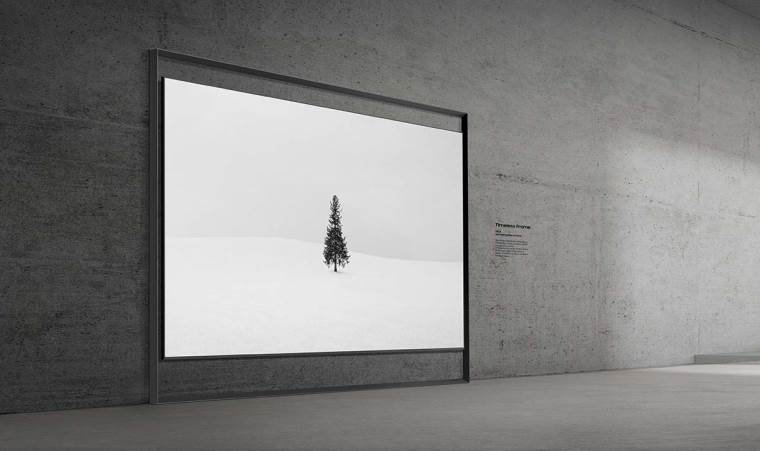 Samsung Timeless Frame