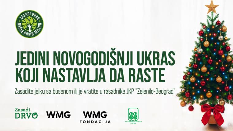 Zasadi drvo