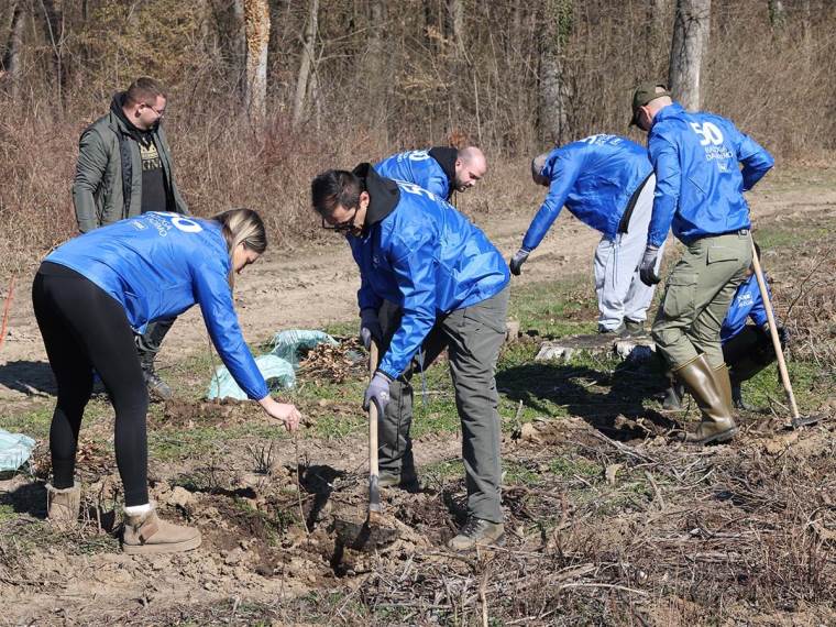 Zasadi drvo akcija u Bojčinskoj šumi