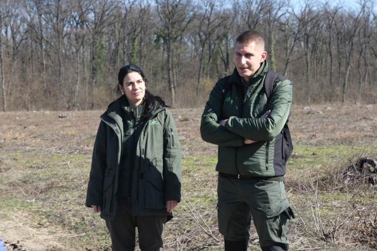 Bojčinska šuma slika 2