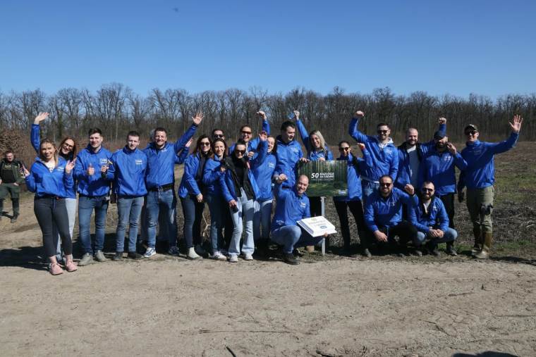Bojčinska šuma slika 3.jpg