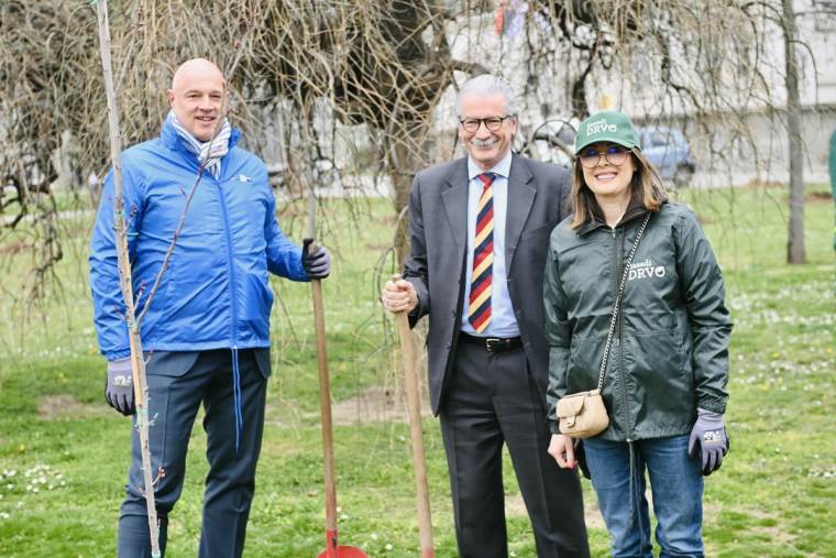 Zasadi drvo slika 4.jpg