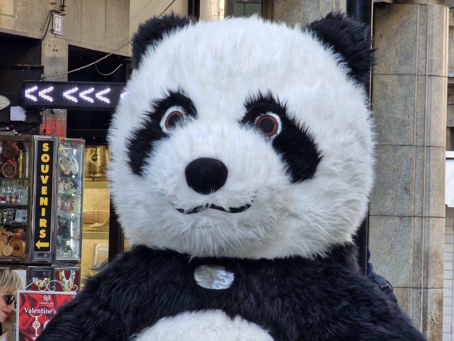 Samsung Galaxy S22 Ultra Kamera (14).jpg