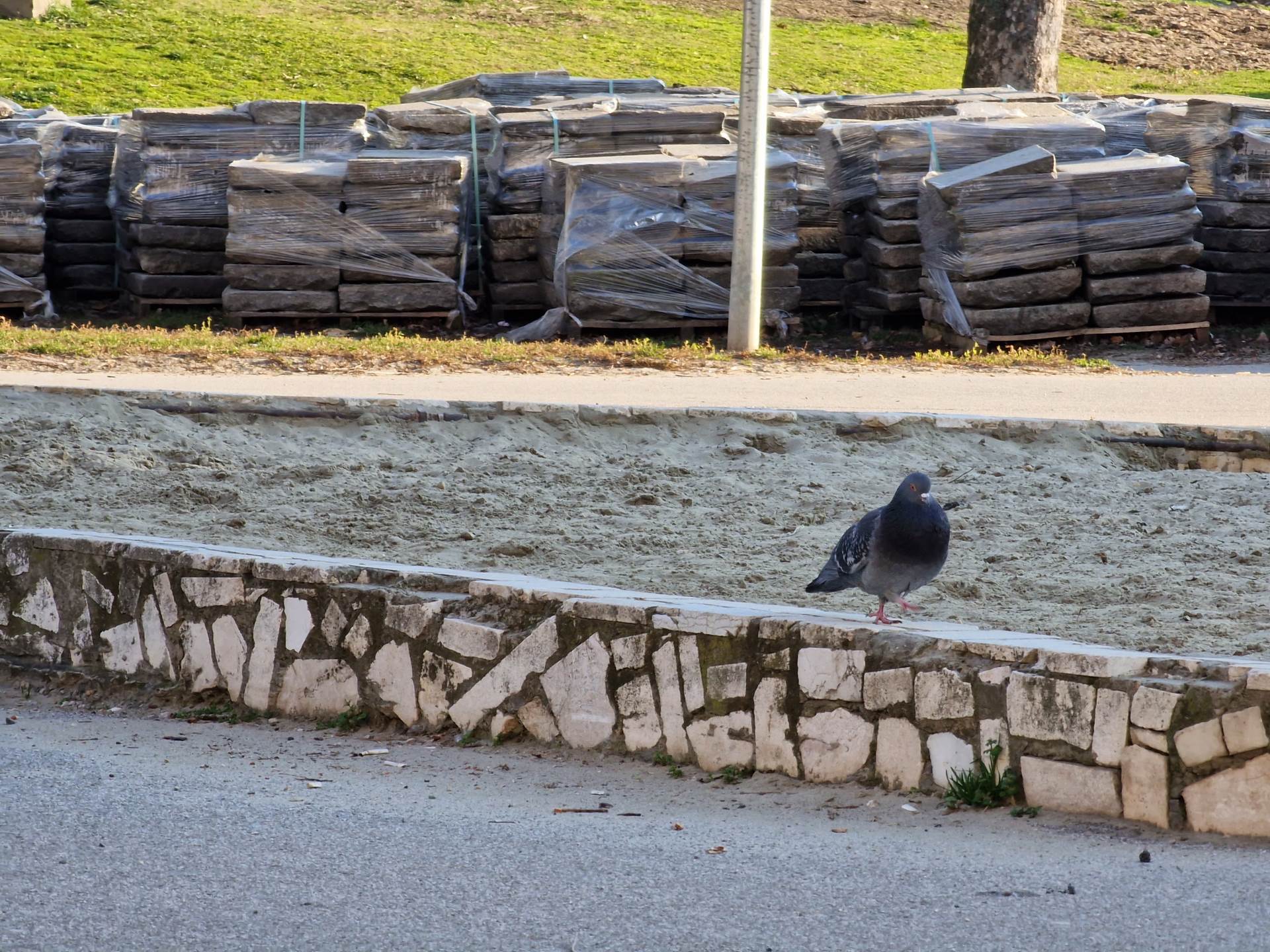 Samsung Galaxy S22 Ultra Kamera (23).jpg