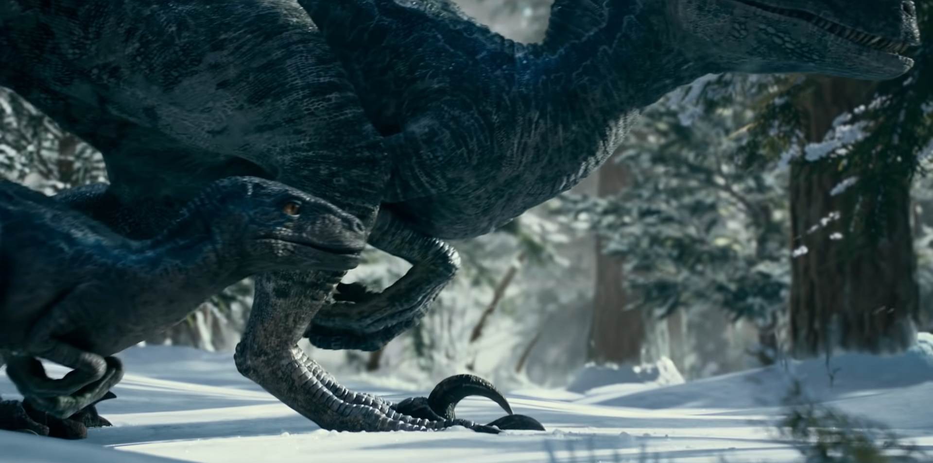 Jurassic World Dominion (4).jpg