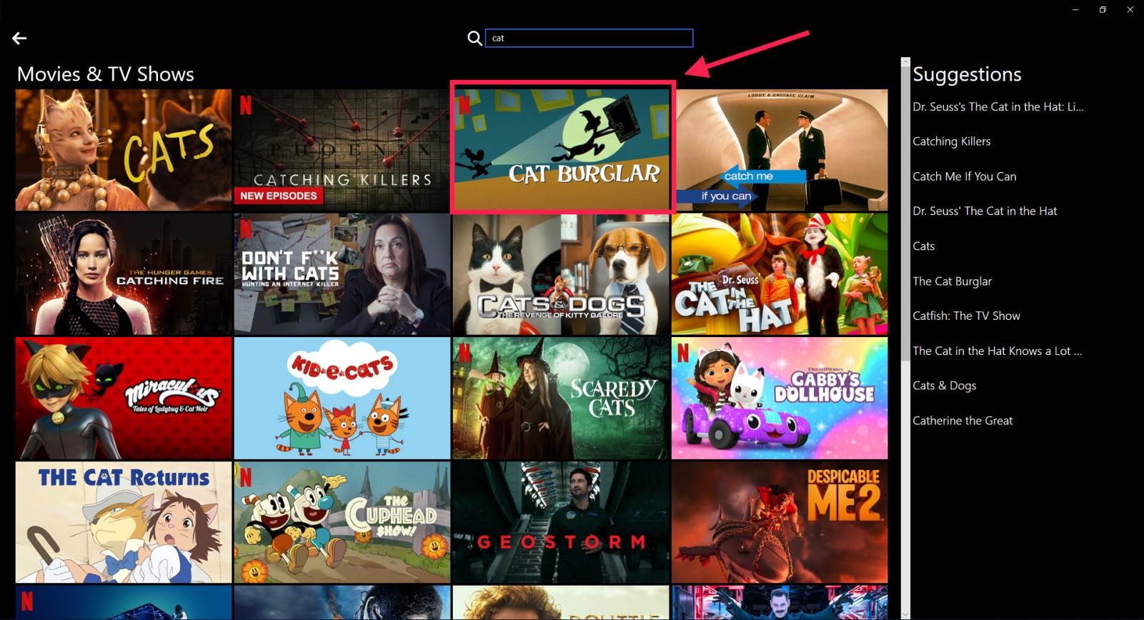 Netflix na Windows 10 koji ne podržava interakciju