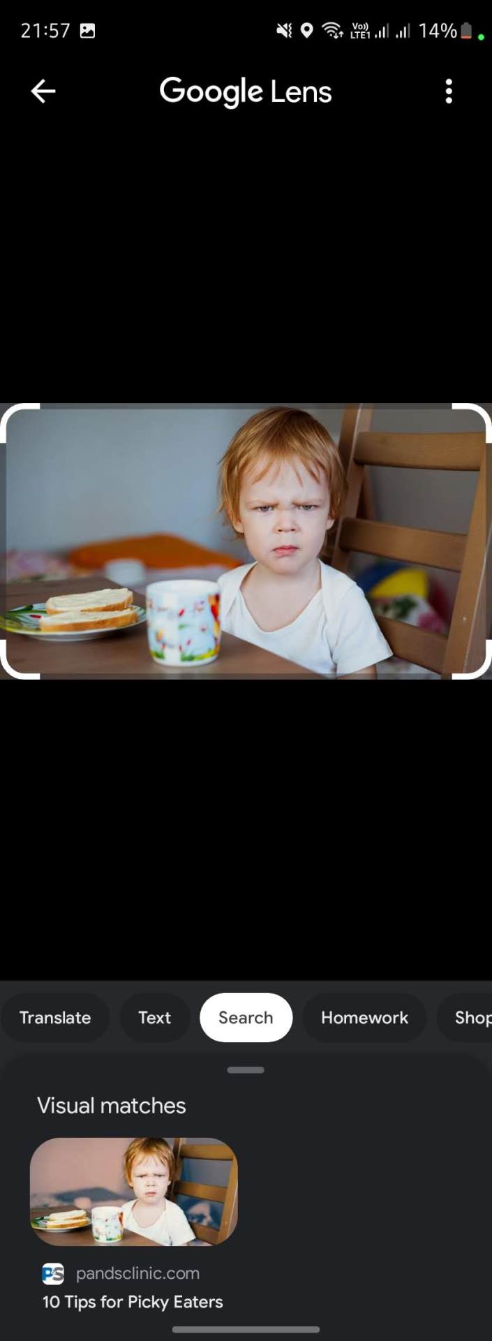 Google Lens u Chrome (12).jpg