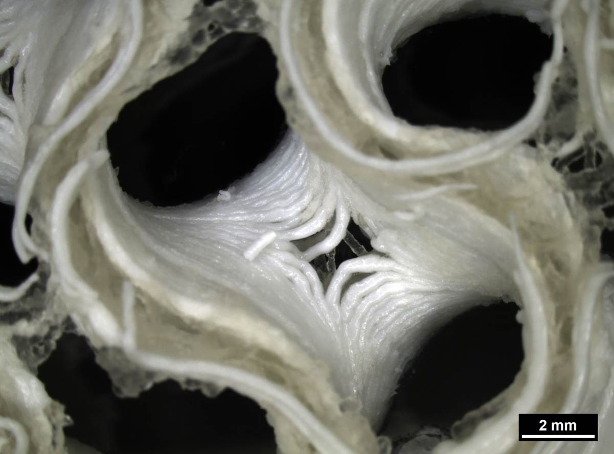 Rezervni organi za astronaute