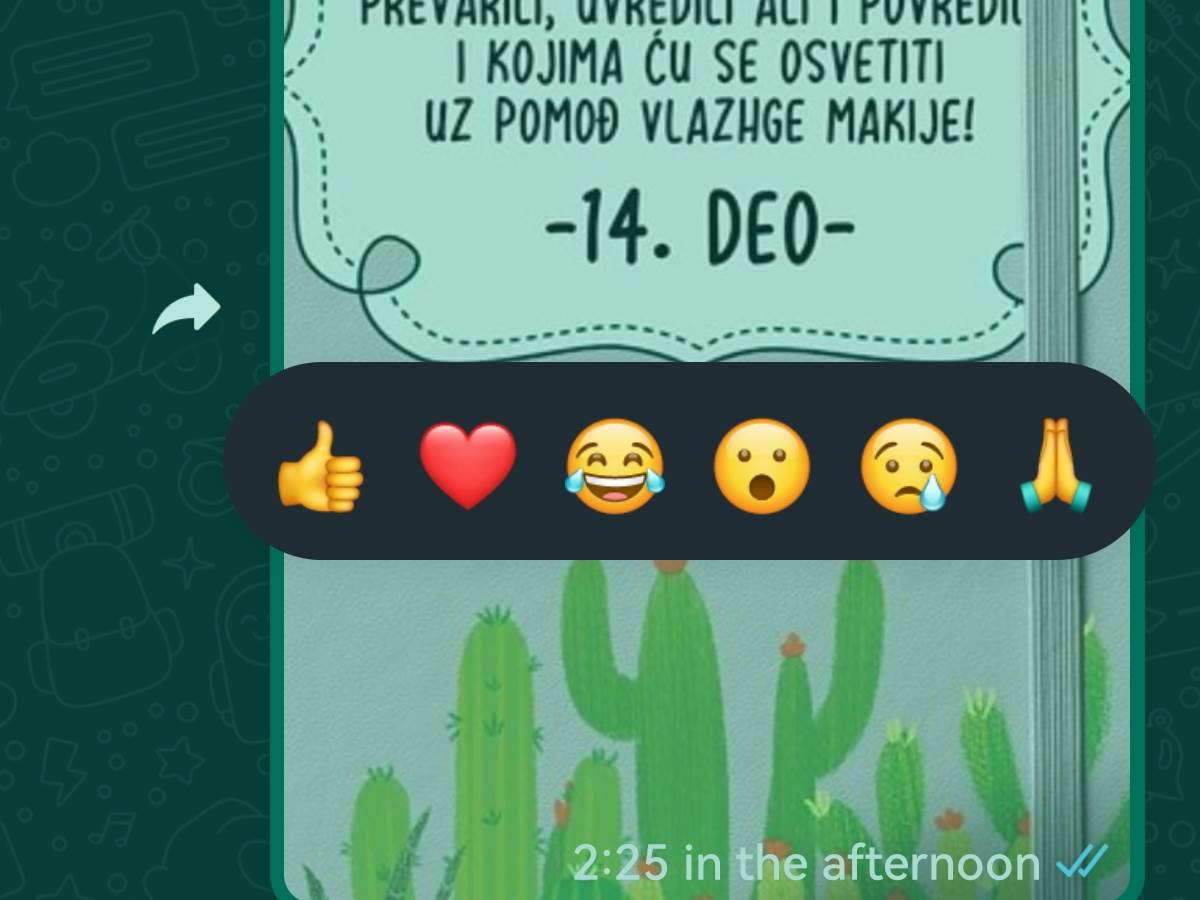WhatsApp update reakcije i 2 GB fajlovi (3).jpg