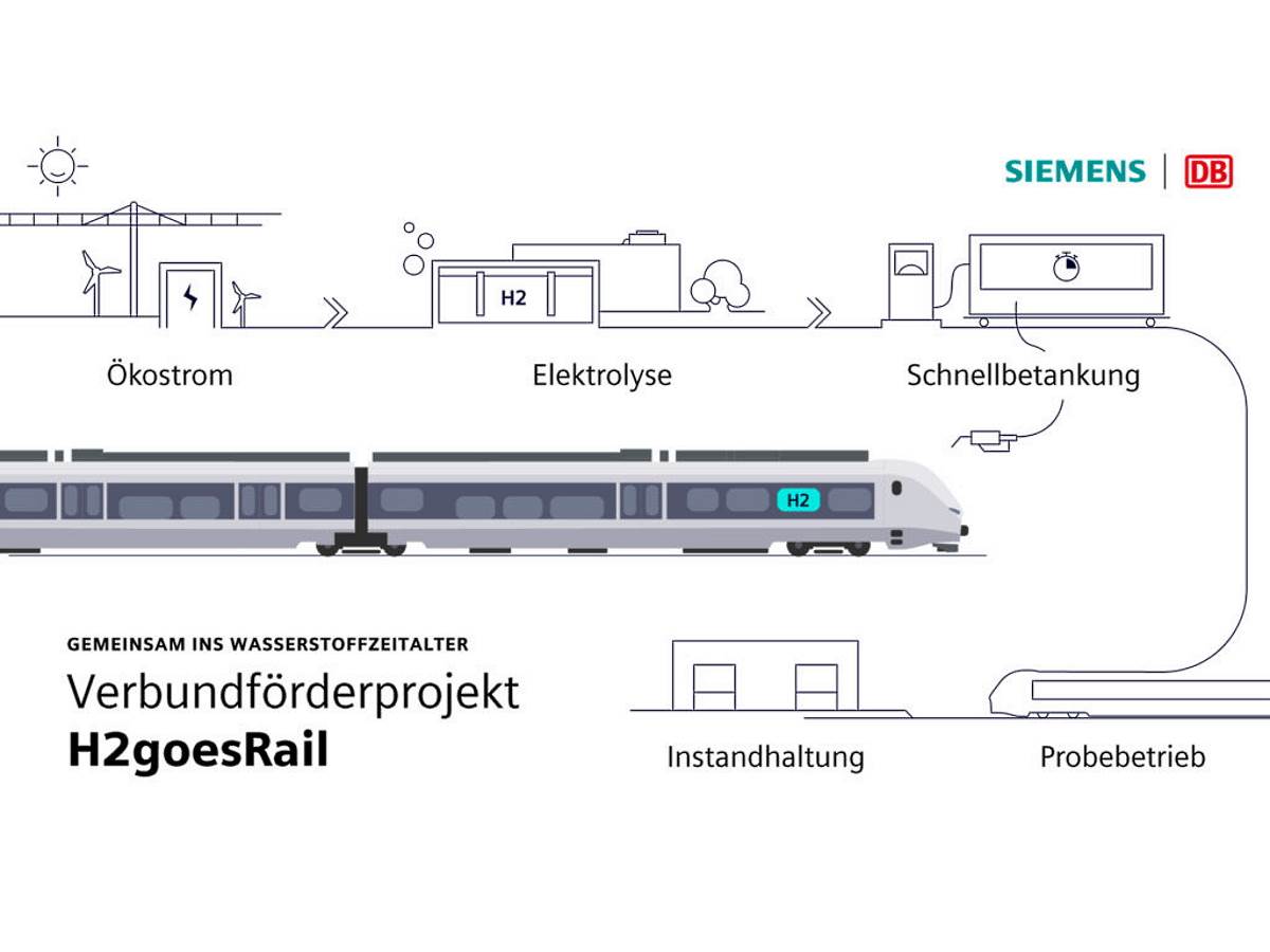Siemens Mireo Plus H 4.jpg