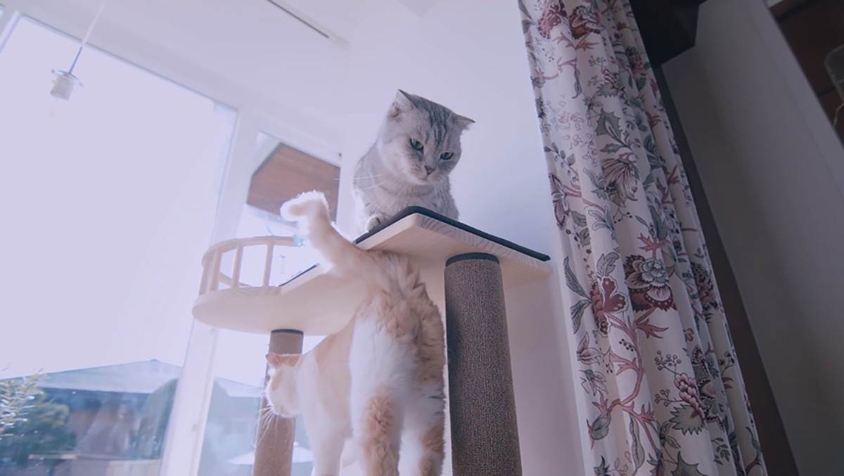 Samsung 200 MP bilbord 7.jpg