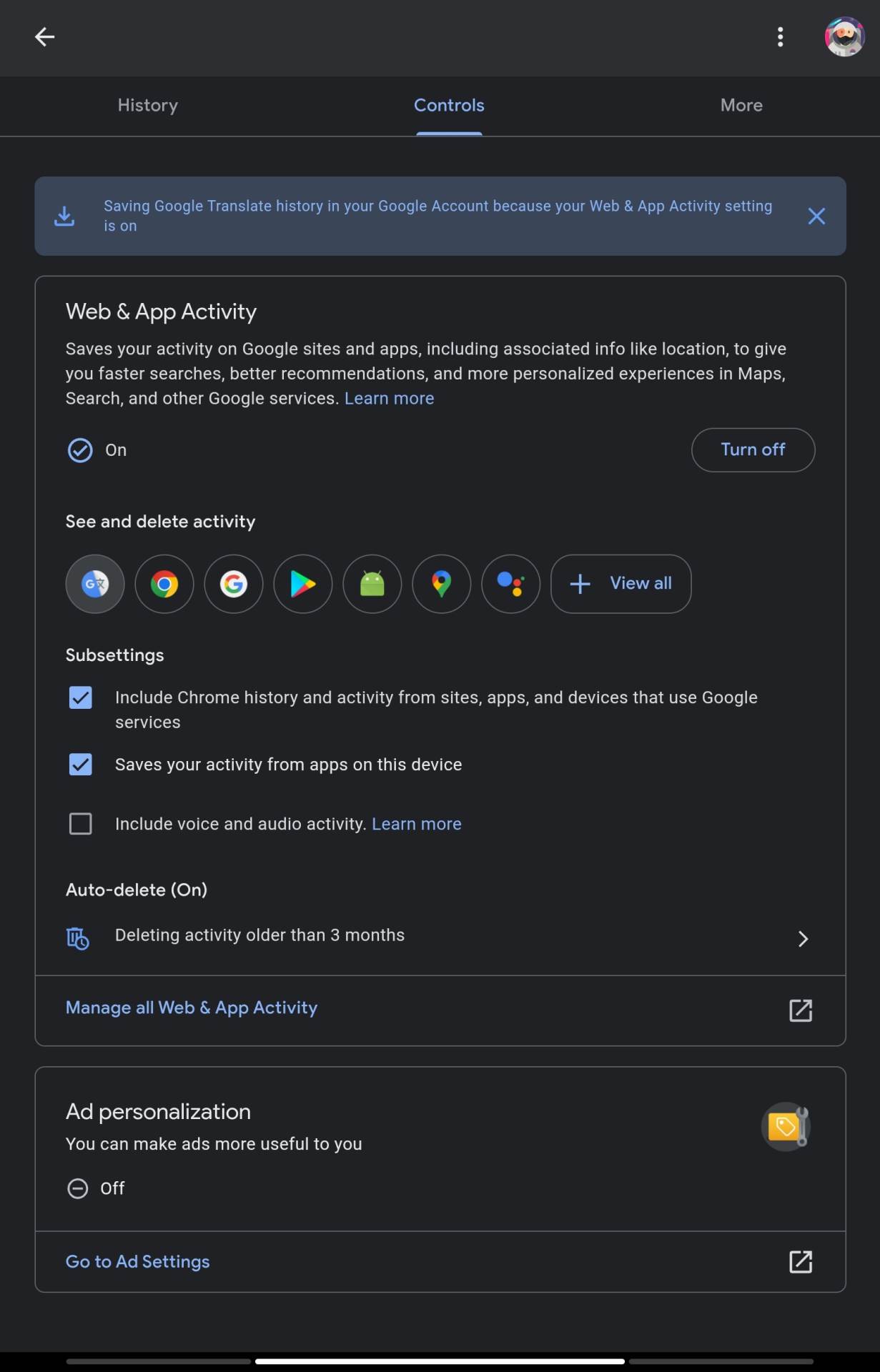 Google Translate History 1.jpg