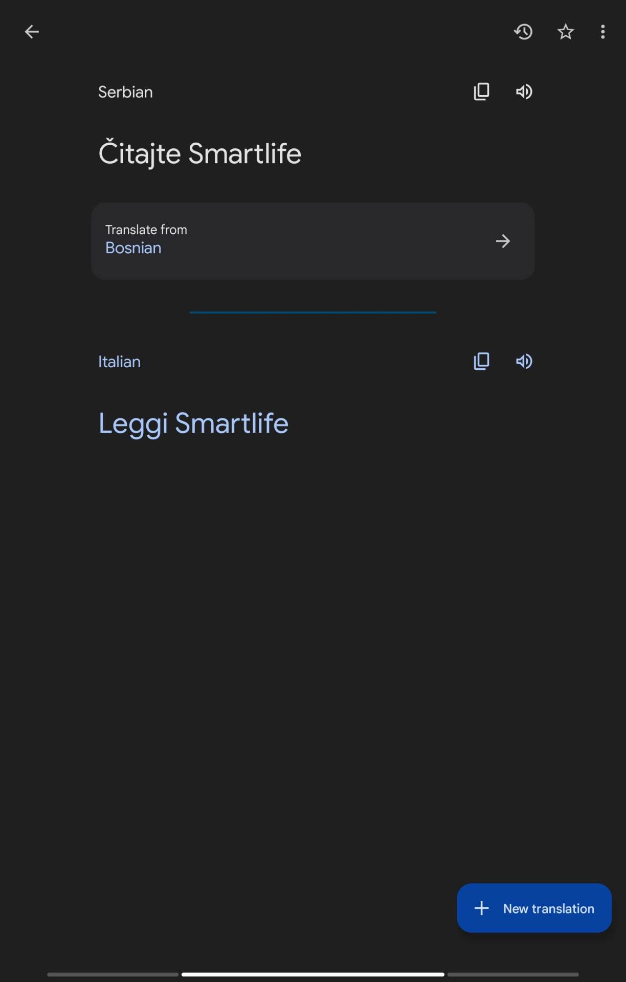 Google Translate History 4.jpg