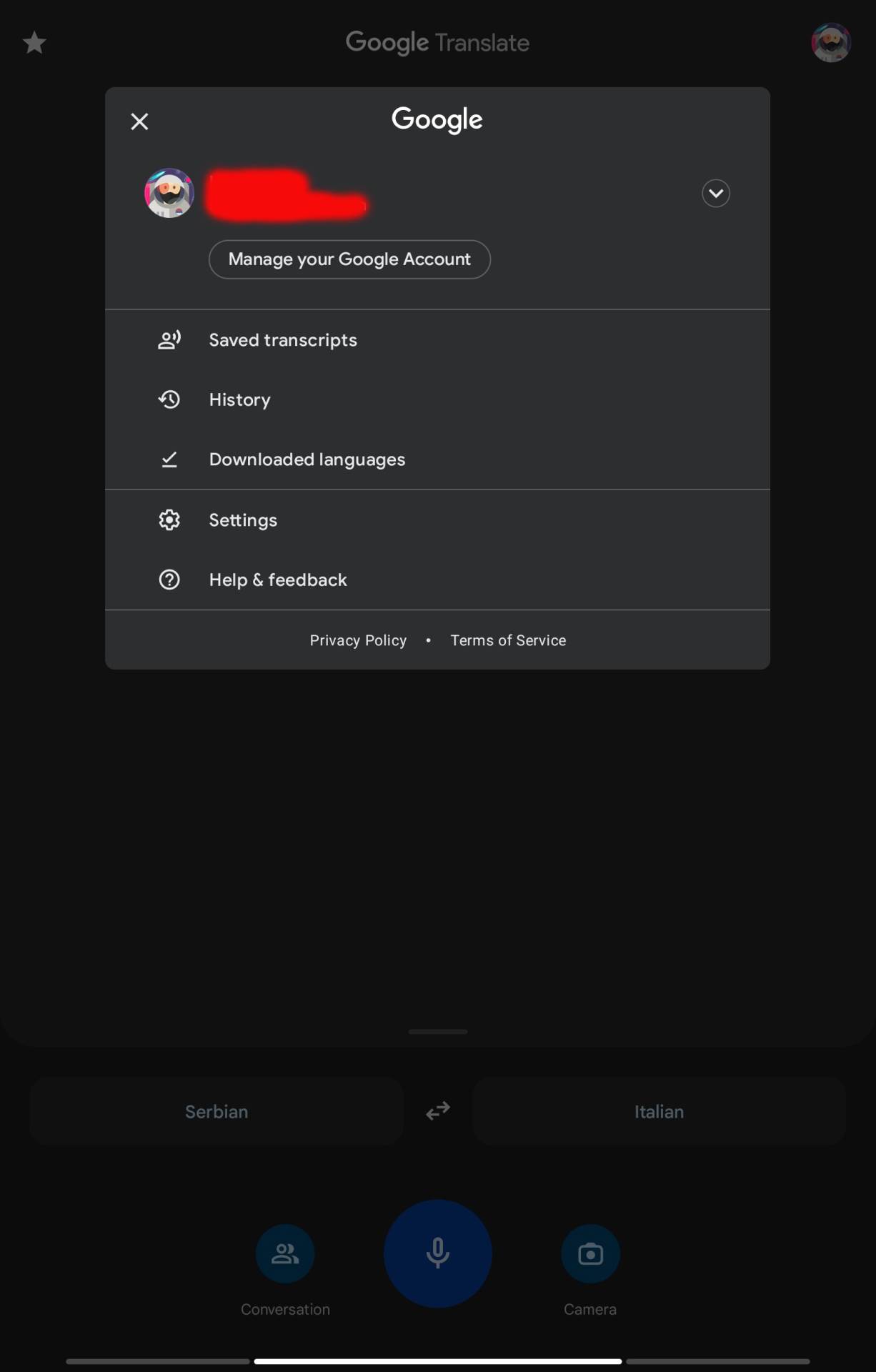 Google Translate History 6.jpg