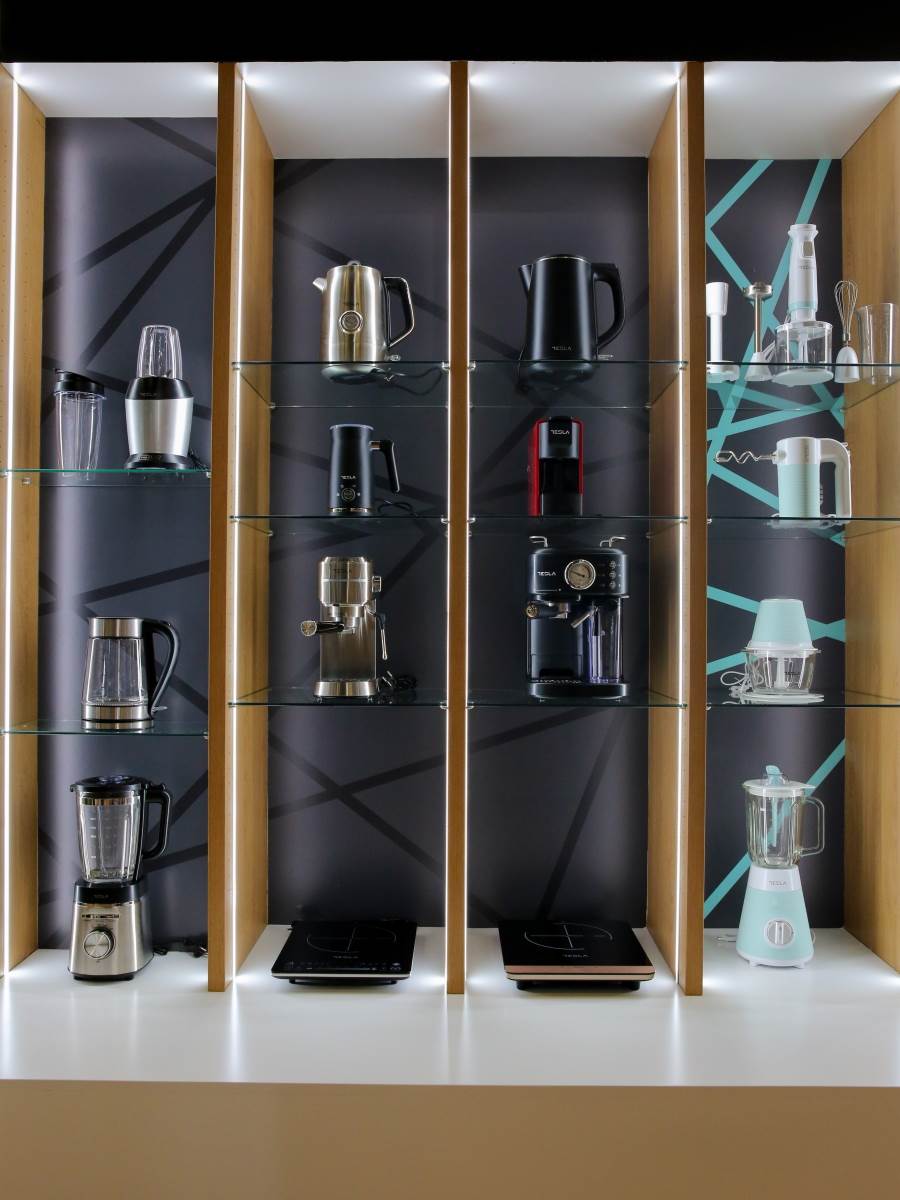 IFA Berlin Tesla foto Milena Djordjevic (106).jpg