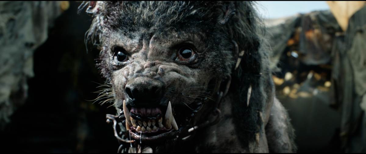 Screenshot 2022-09-12 at 13.52.30.png