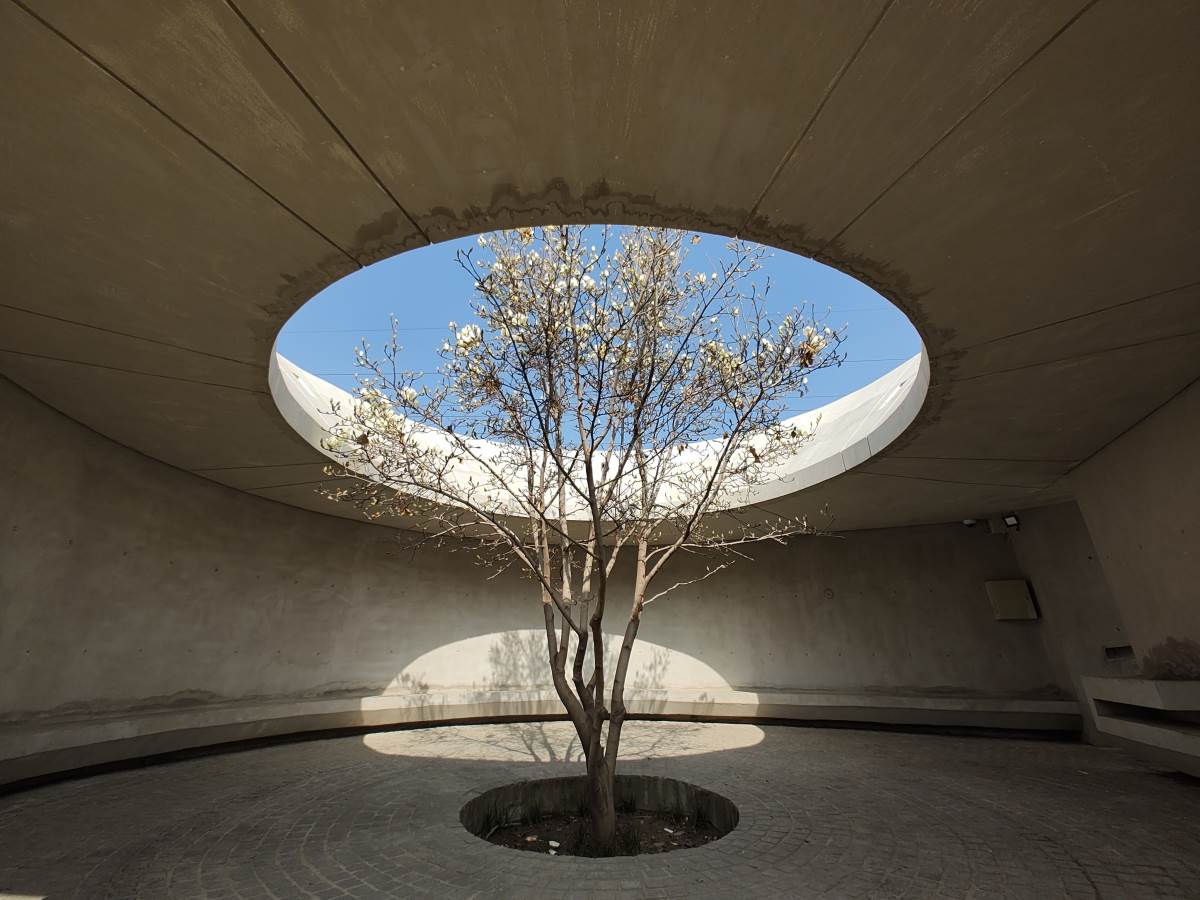 Motorola Edge 30 Ultra Slike Kamere (17).jpg