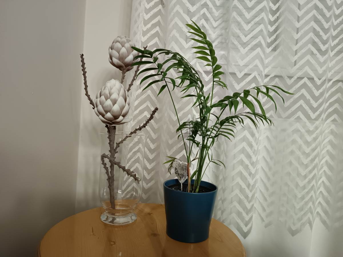 vivo X80 Lite Kamera Slike 1:1 i full rezolucija