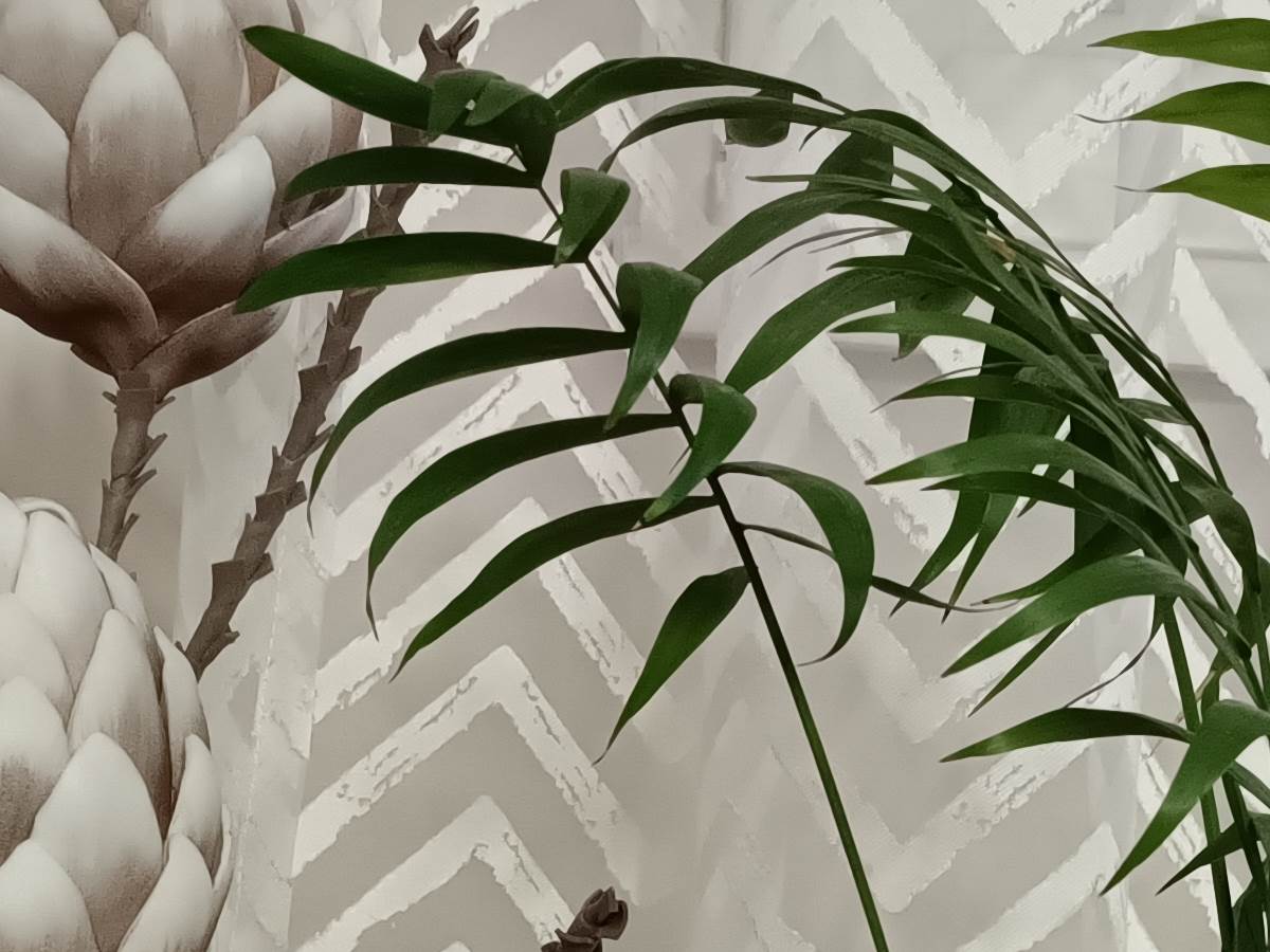 vivo X80 Lite Kamera Slike (2-1).jpg