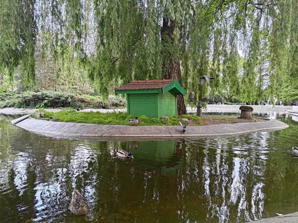 ROG Phone 7 Ultimate kamera 19.jpg