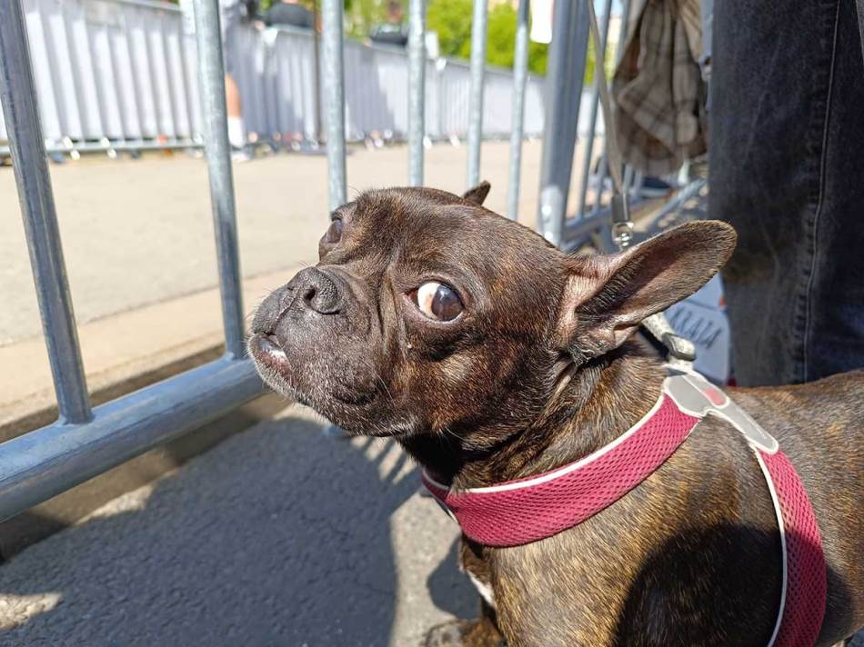 Redmi Note 12 Pro+ 5G kamere dan 5.jpg